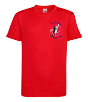 Maldwyn Netball Active T-Shirt - Childs